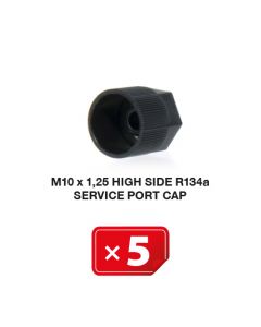 Airco Service Poort Kapje M 10 x 1.25 Hogedruk zijde R134a (5 st.)