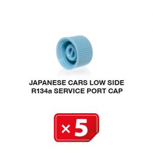 Japanische Autos Niederdruckseite R134a Verschlusskappe (5 St.)