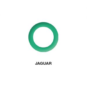 O-Ring Jaguar 13.10 x 1.60  (5 St.)