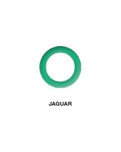 O-Ring Jaguar 13.10 x 1.60  (5 st.)