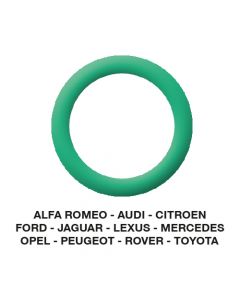 O-Ring Alfa-Audi-Citroen-Jaguar-Opel-etc. 20.40 x 3.50  (5 st.)